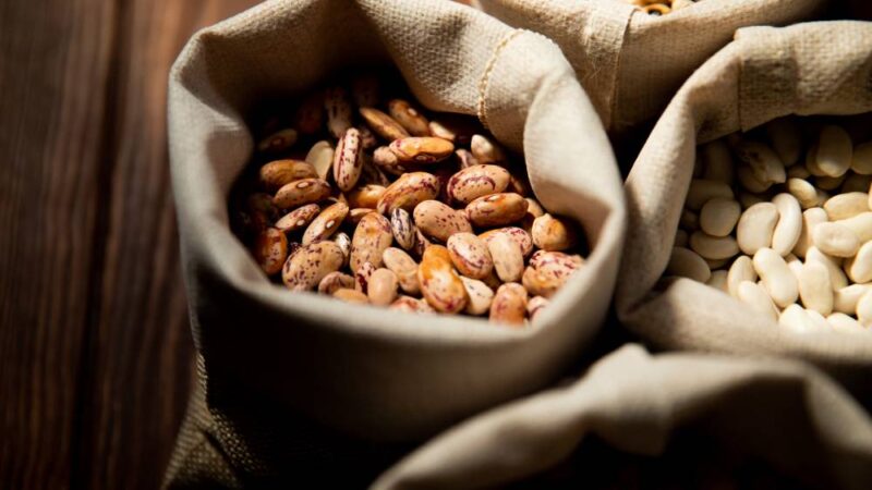 Universidad Autónoma se adjudica proyecto para enfrentar la escasez hídrica en el cultivo del poroto en la Región de Coquimbo