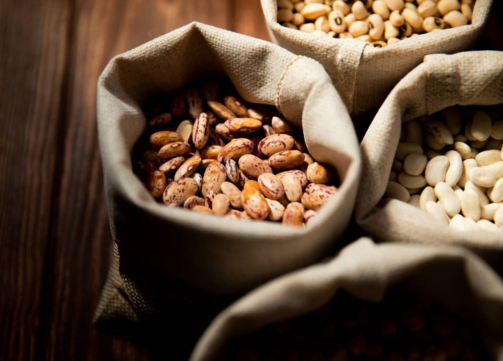 Universidad Autónoma se adjudica proyecto para enfrentar la escasez hídrica en el cultivo del poroto en la Región de Coquimbo