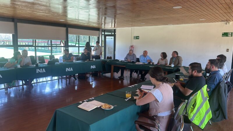 Universidad Autónoma participó de primera sesión 2026 de la Mesa de Innovación Araucanía