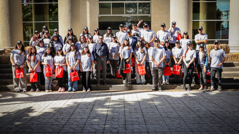 Verano con impacto: estudiantes UA transformarán espacios educativos en comuna de Galvarino