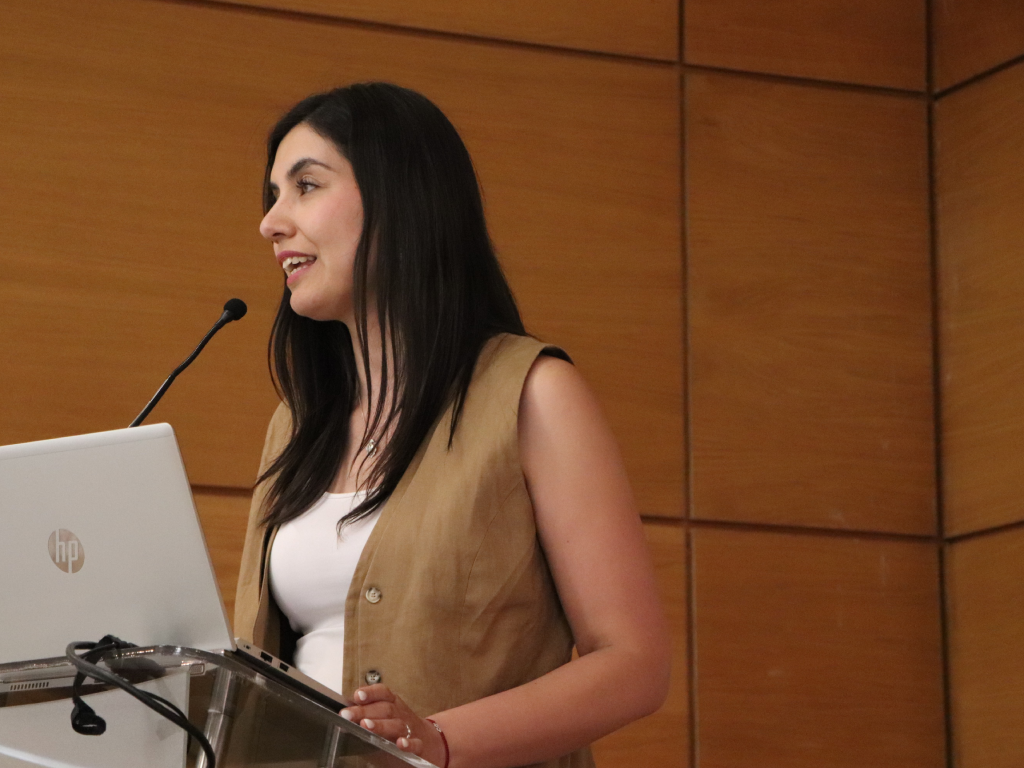 Galeria de fotos 2 3