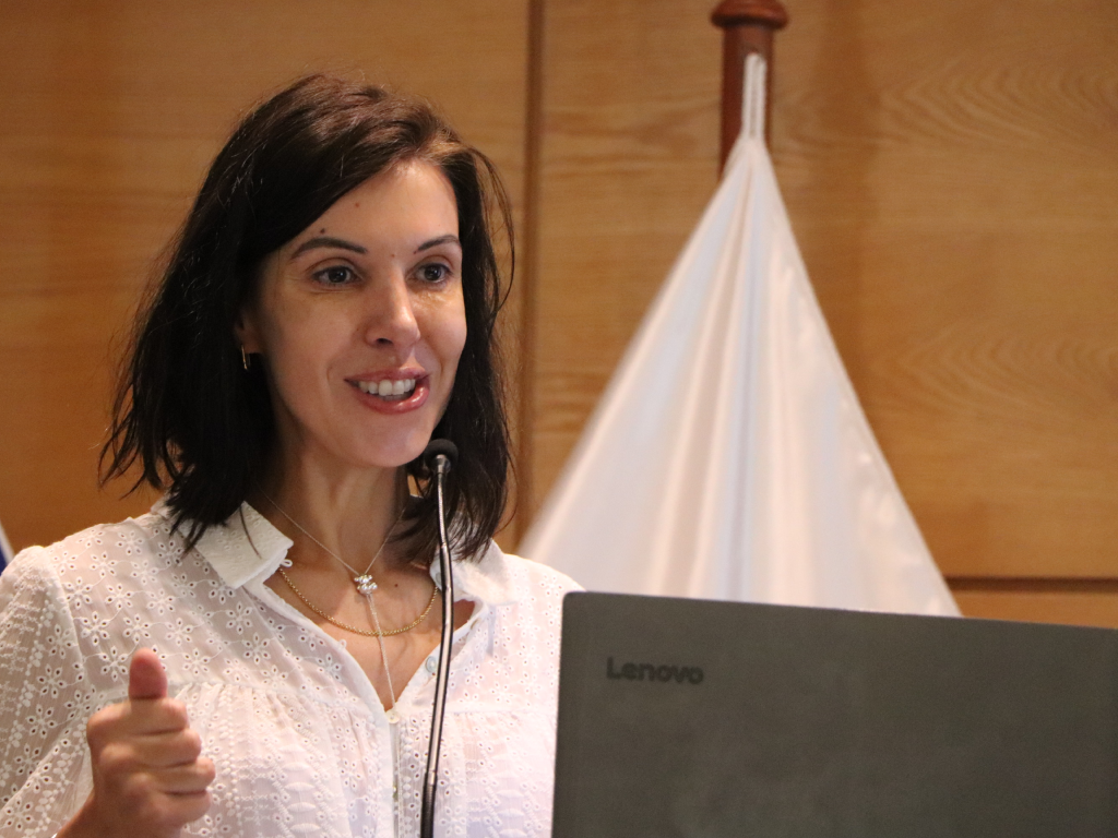 Galeria de fotos 3 4