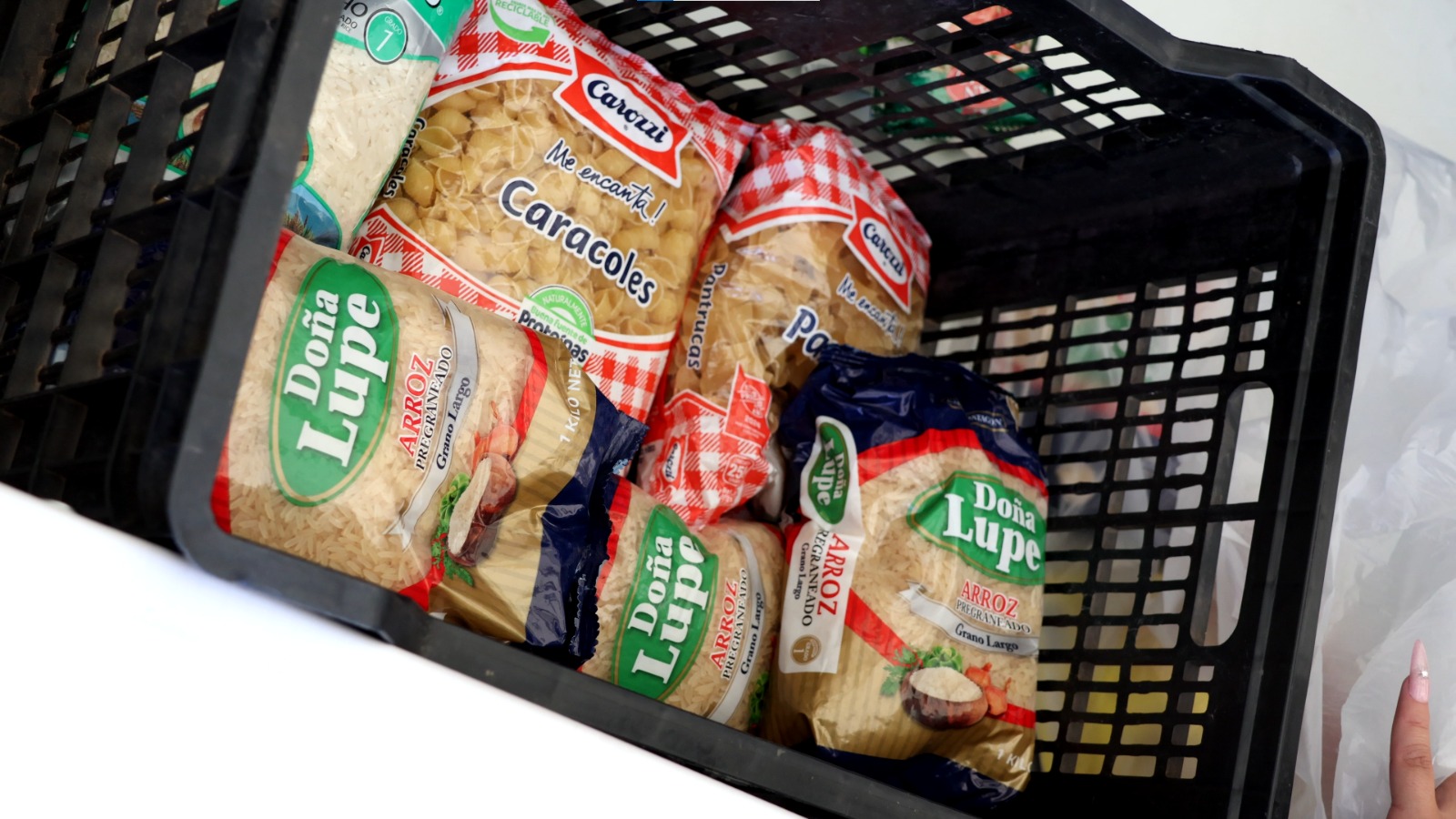 WhatsApp Image 2026 01 20 at 10.45.41 AM