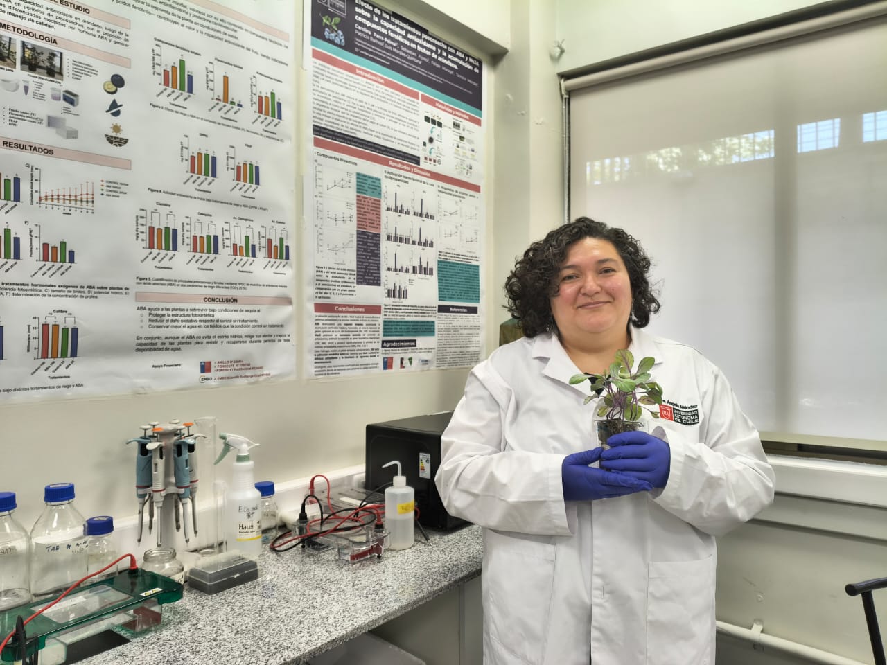 Investigadores de la U. Autónoma desarrollan tratamiento postcosecha para mantener firmeza y propiedades antioxidantes de la frutilla por más tiempo