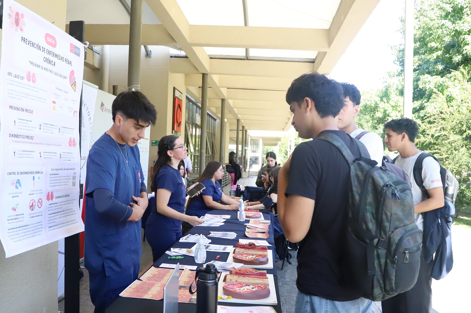 FOTO campana mes del rinon 2