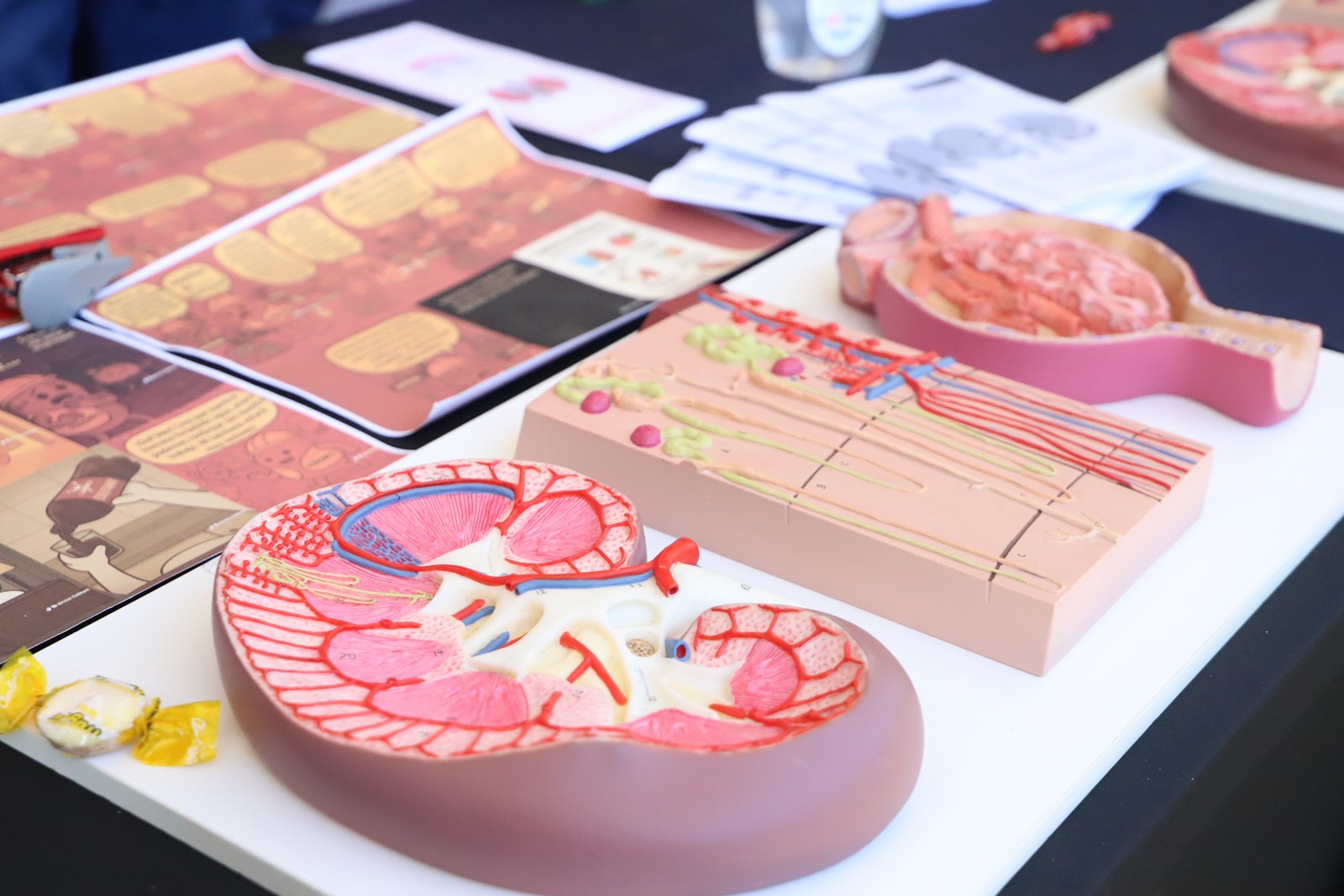 FOTO campana mes del rinon 3