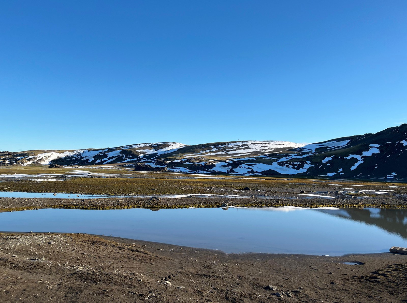 FOTO investigacion antartica multi omics 2