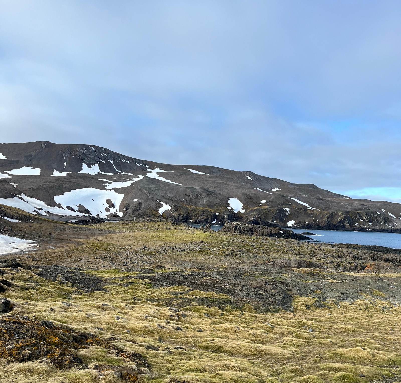 FOTO investigacion antartica multi omics 4