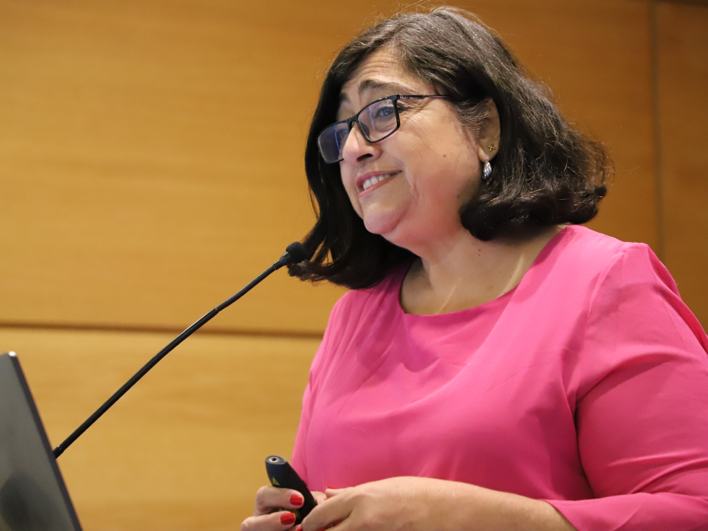 Galeria de fotos 13 3