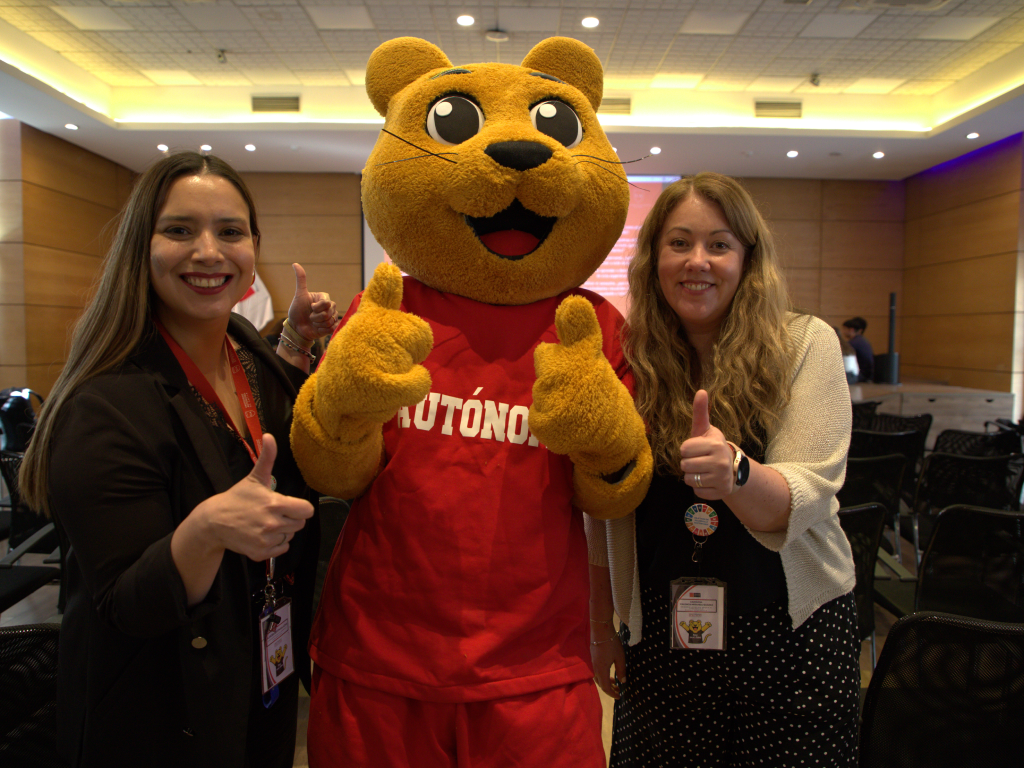 Galeria de fotos 4 6