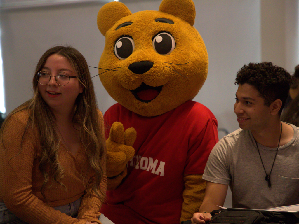 Galeria de fotos 5 3