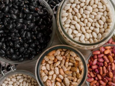 "Semillas blindadas": La innovadora tecnología chilena que busca salvar a los porotos frente al cambio climático