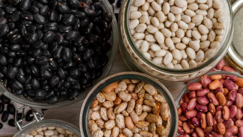 "Semillas blindadas": La innovadora tecnología chilena que busca salvar a los porotos frente al cambio climático