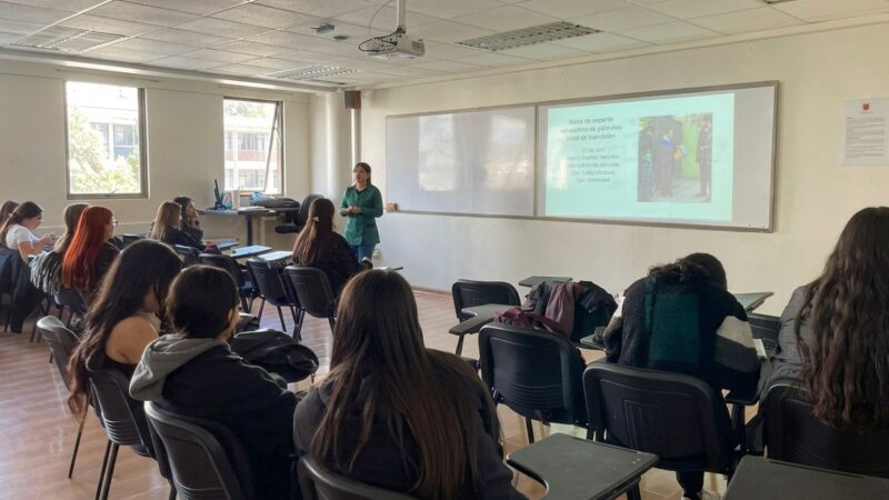 Estudiantes de Educación Parvularia y Básica profundizan en la transición educativa en jornada con expertas