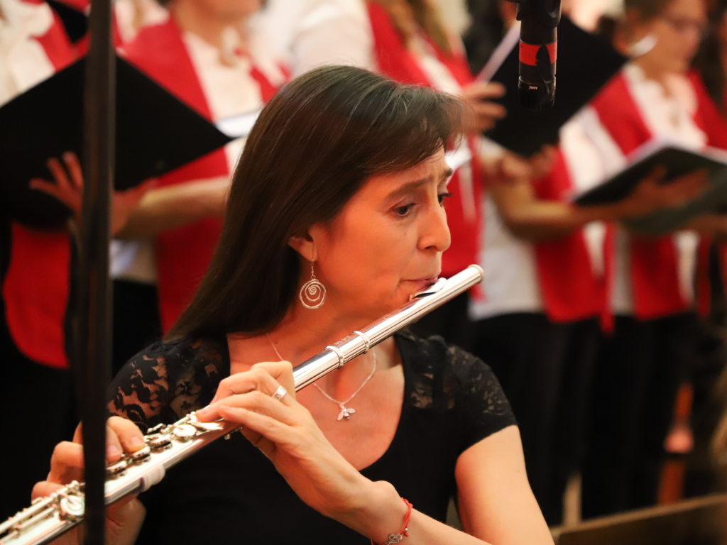 Galeria de fotos 7 1