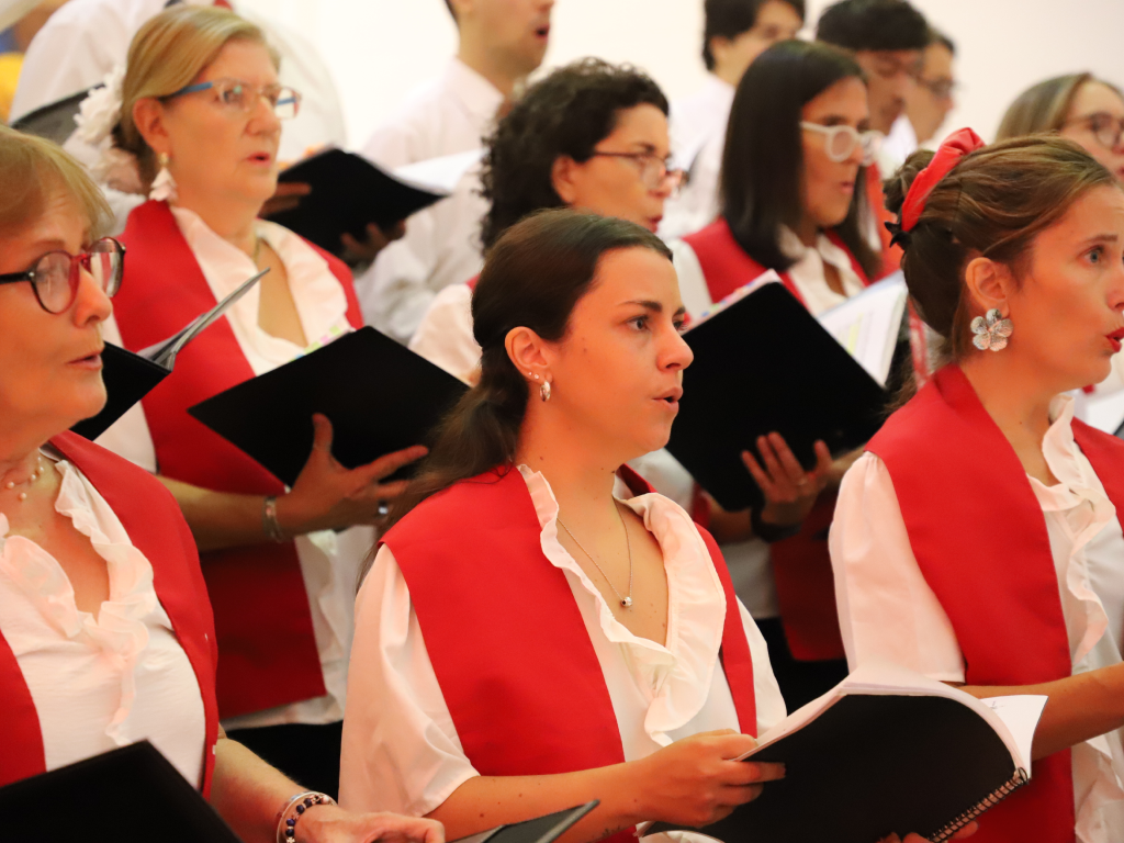 Galeria de fotos 8 1