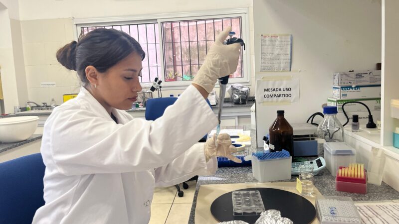 ​Ciencia sin fronteras: Doctorandos de la Universidad Autónoma concretan pasantía de alto impacto en Argentina