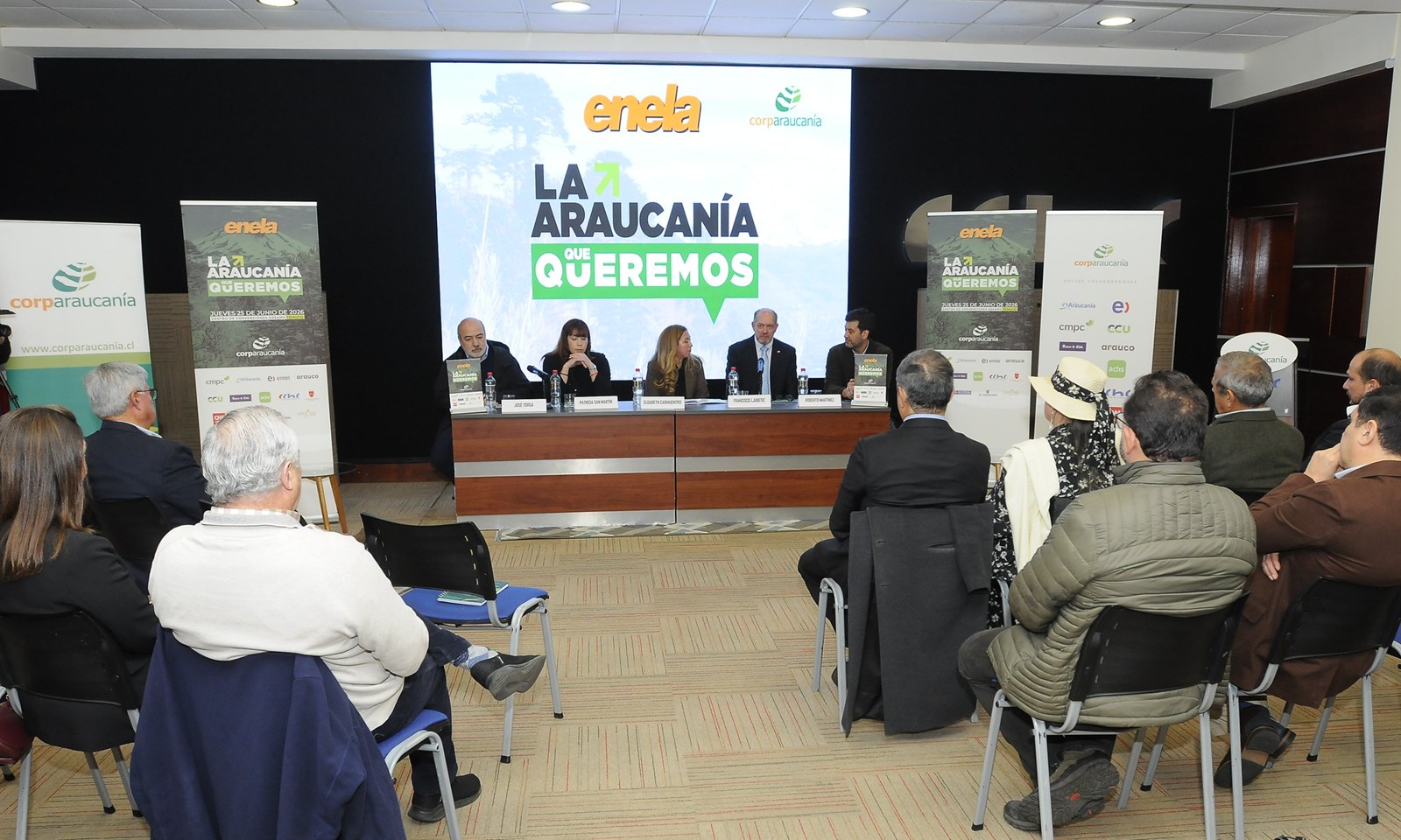 FOTO lanzamiento de enela 1