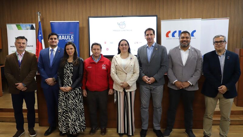 Presentan en Talca el programa “Maule Construye Sostenible” para fortalecer el desarrollo del sector construcción