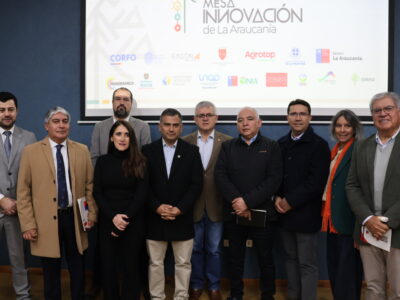 Mesa Regional de Innovación pone en marcha piloto de trabajo con empresas de La Araucanía