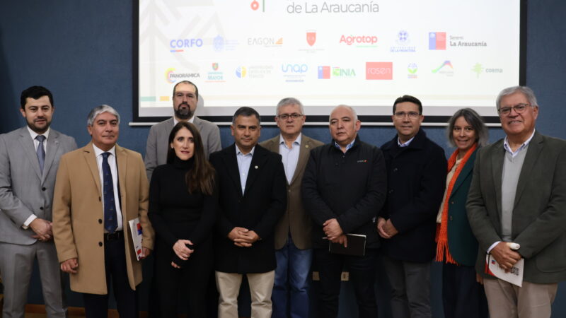 Mesa Regional de Innovación pone en marcha piloto de trabajo con empresas de La Araucanía