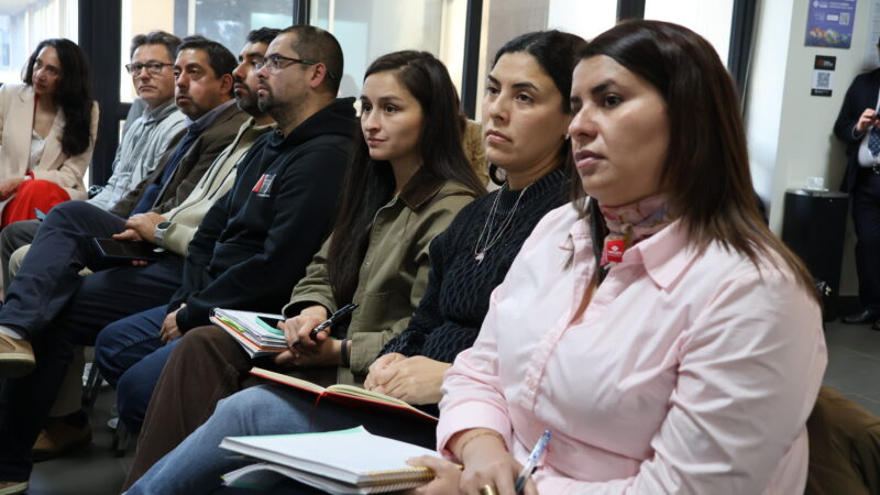 Dirección de Desarrollo Estudiantil realiza jornada sobre Equidad de Género e Inclusión para académicos