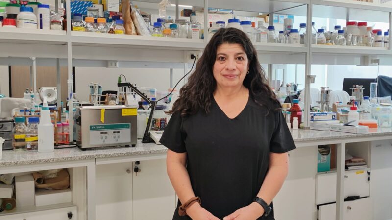 Ciencia y sostenibilidad: Investigadores buscan desarrollar helados a partir de residuos alimentarios