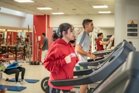 Egresados y estudiantes de Pedagogía en Educación Física se actualizan en entrenamiento de resistencia y fuerza