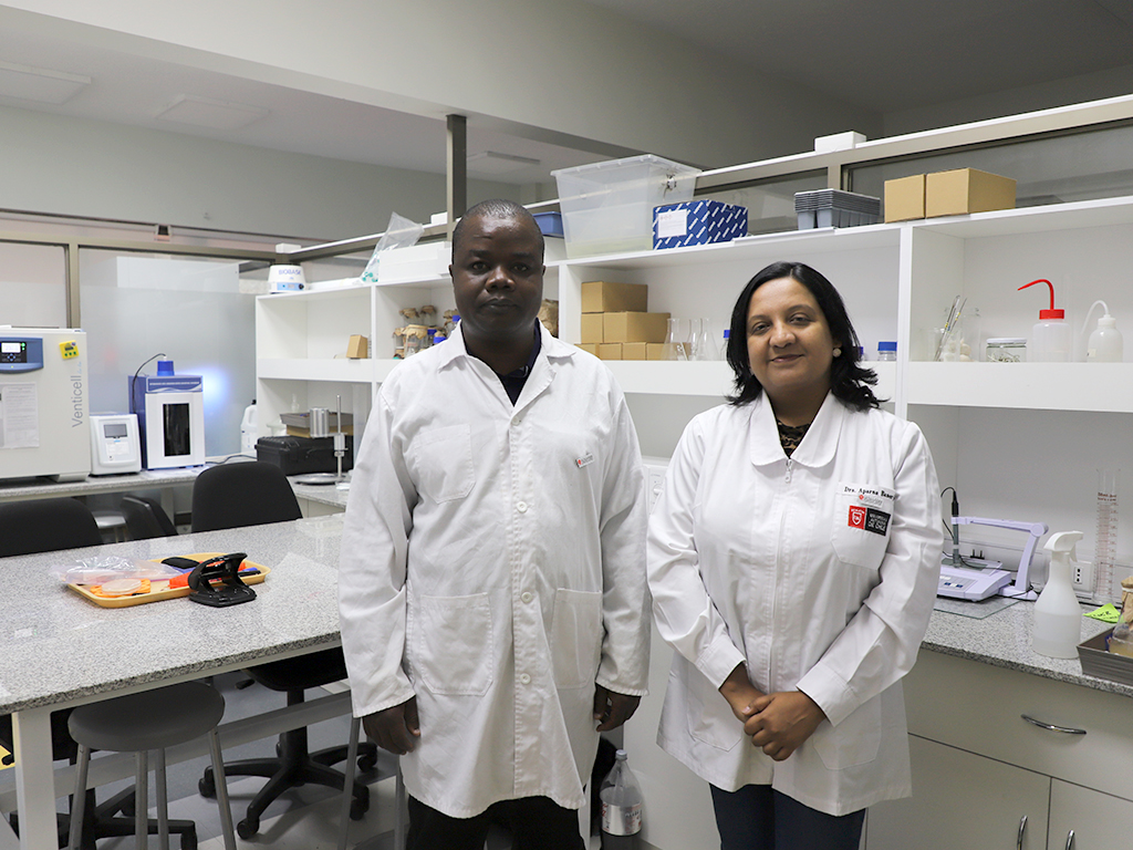laboratorio