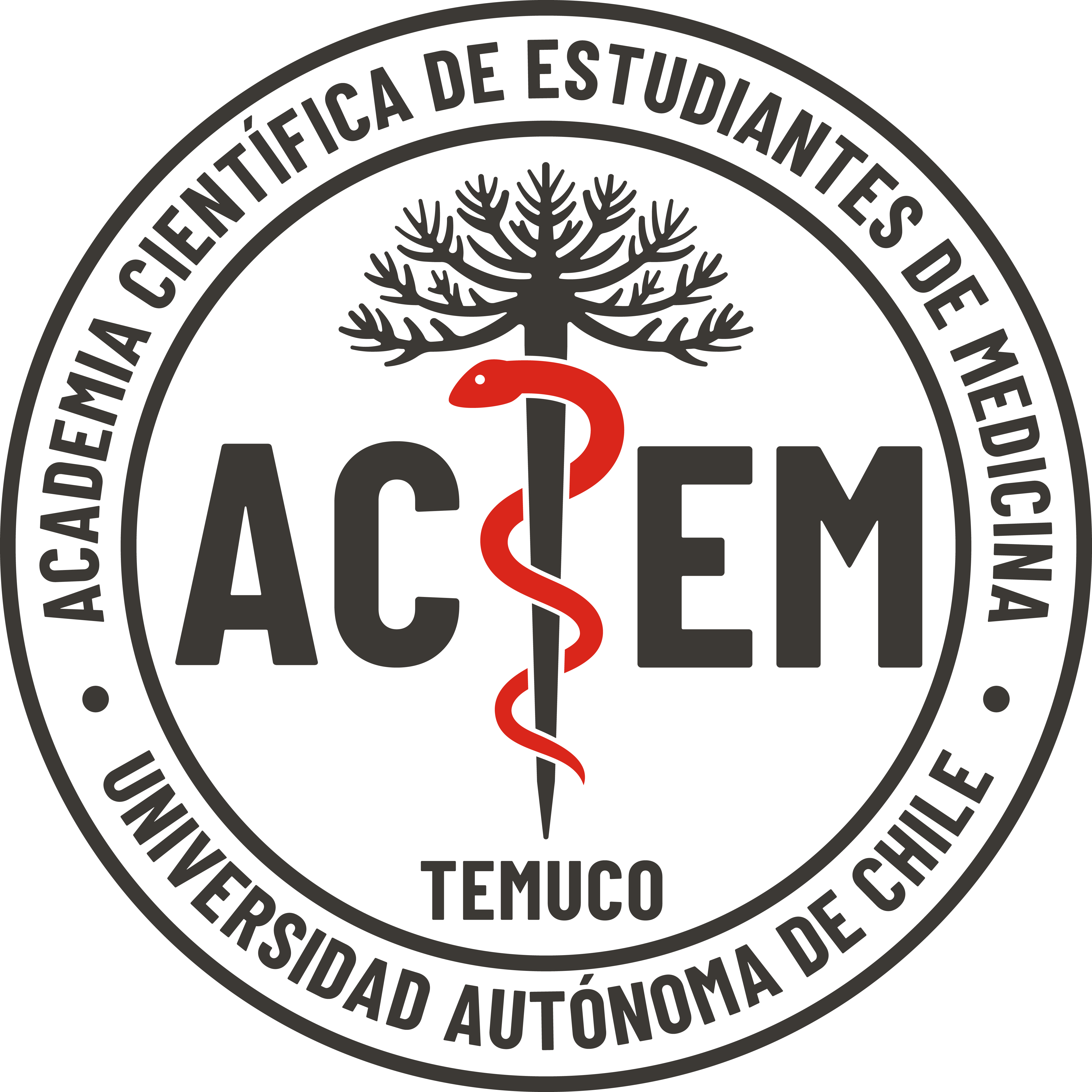 logo acem 01