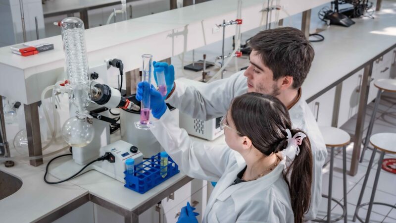 Innovación y sostenibilidad: La nueva generación del Doctorado en Ciencias Aplicadas de la Universidad Autónoma