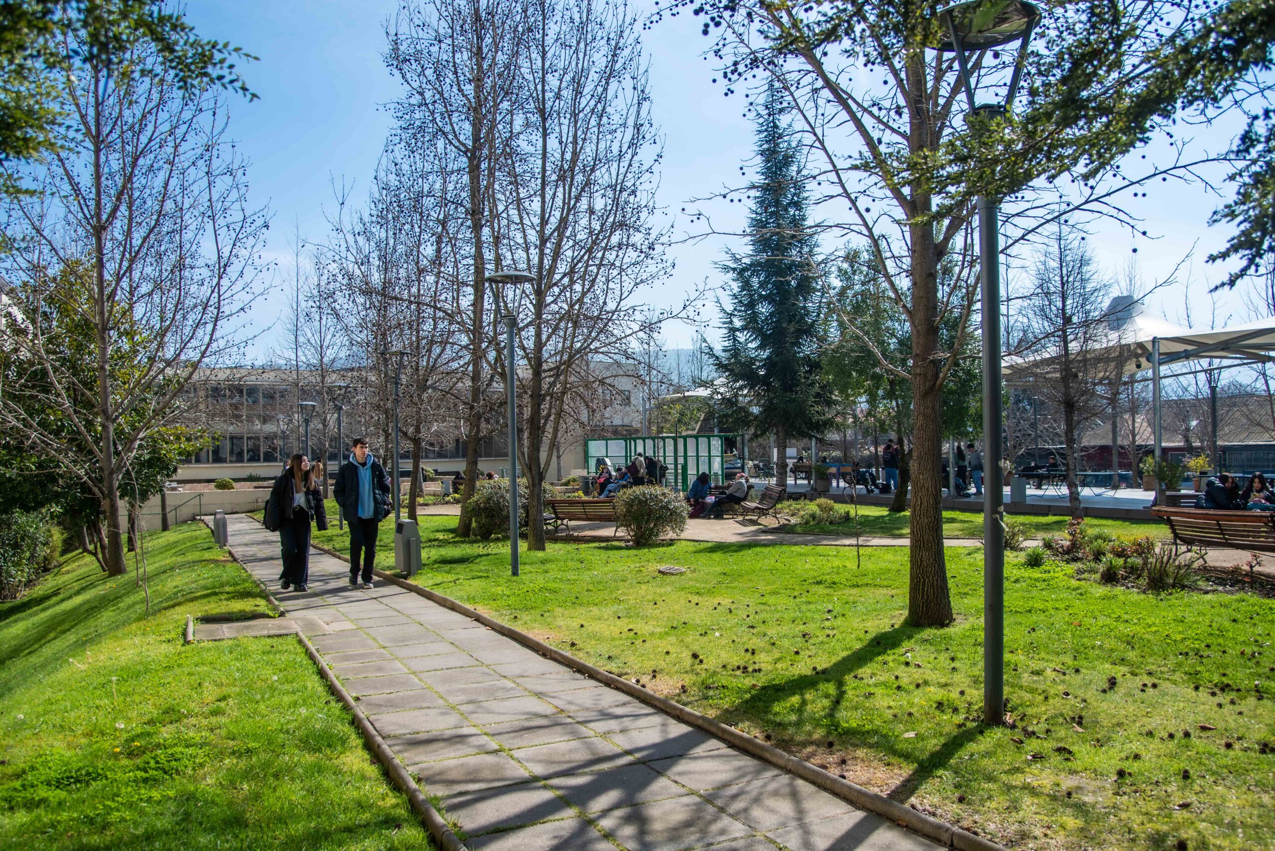 Sede Talca