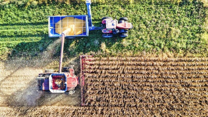 Universidad Autónoma de Chile junto a Martínez & Valdivieso lanzan desafío para impulsar la innovación en el sector agrícola