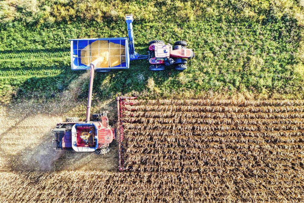 Universidad Autónoma de Chile junto a Martínez & Valdivieso lanzan desafío para impulsar la innovación en el sector agrícola