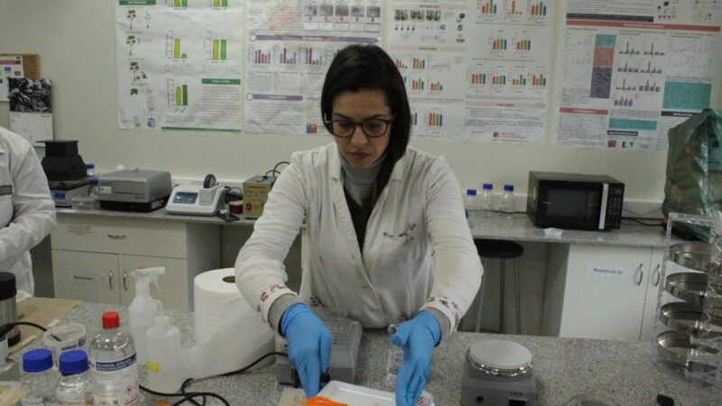 Investigadora brasileña culmina pasantía en la Universidad Autónoma con hallazgos para la conservación de palmeras nativas