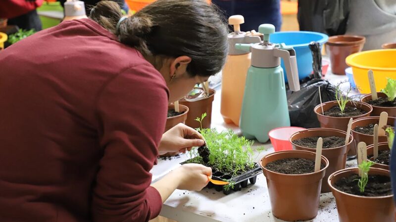 Universidad Autónoma impulsa taller de Huerto Urbano y Pausa Verde para promover sostenibilidad y autocuidado estudiantil