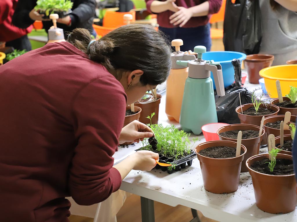 Universidad Autónoma impulsa taller de Huerto Urbano y Pausa Verde para promover sostenibilidad y autocuidado estudiantil