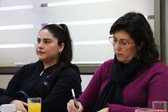 Acuerdo proyecto VcM Programa VIF 6