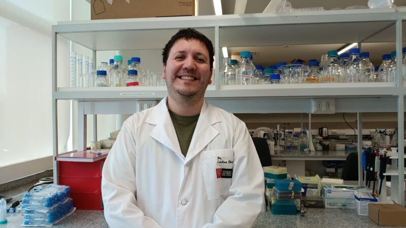Investigador de la U. Autónoma busca frenar los trastornos cardiorrespiratorios de la apnea del sueño desde el cerebro