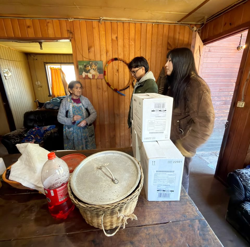 FOTO ayuda solidaria en cholchol 2