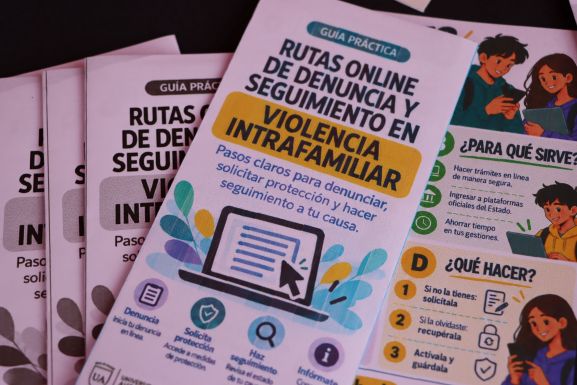 Dia Acceso Informacion Programa VIF 4