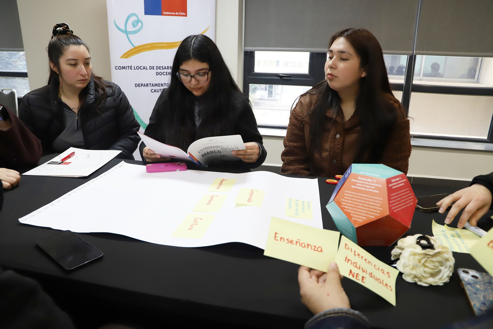 FOTO desarrollo profesional docente 3