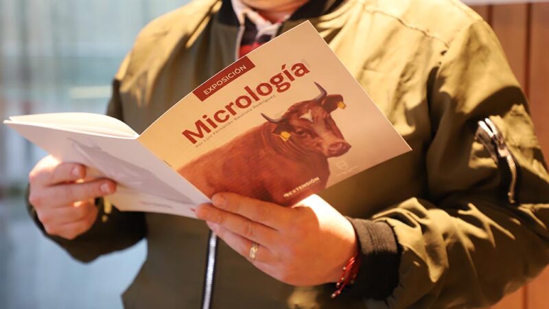 “Micrología” invita a redescubrir lo cotidiano en nueva exposición de la Universidad Autónoma en Talca