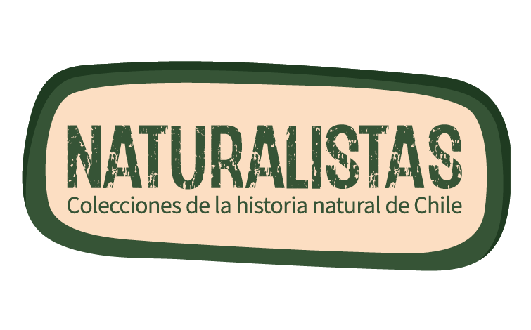 Landpage Ciencia publica 2
