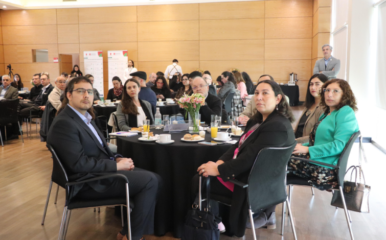  Consejo Asesor Regional de Vinculación con el Medio 2026