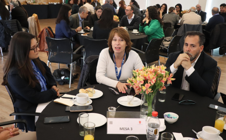  Consejo Asesor Regional de Vinculación con el Medio 2026