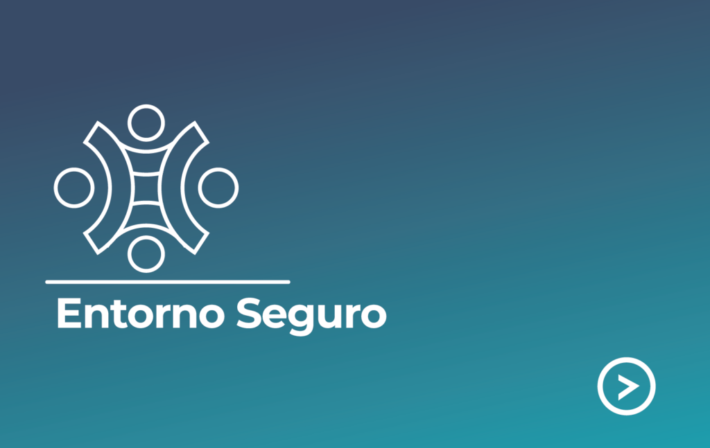 Entorno Seguro