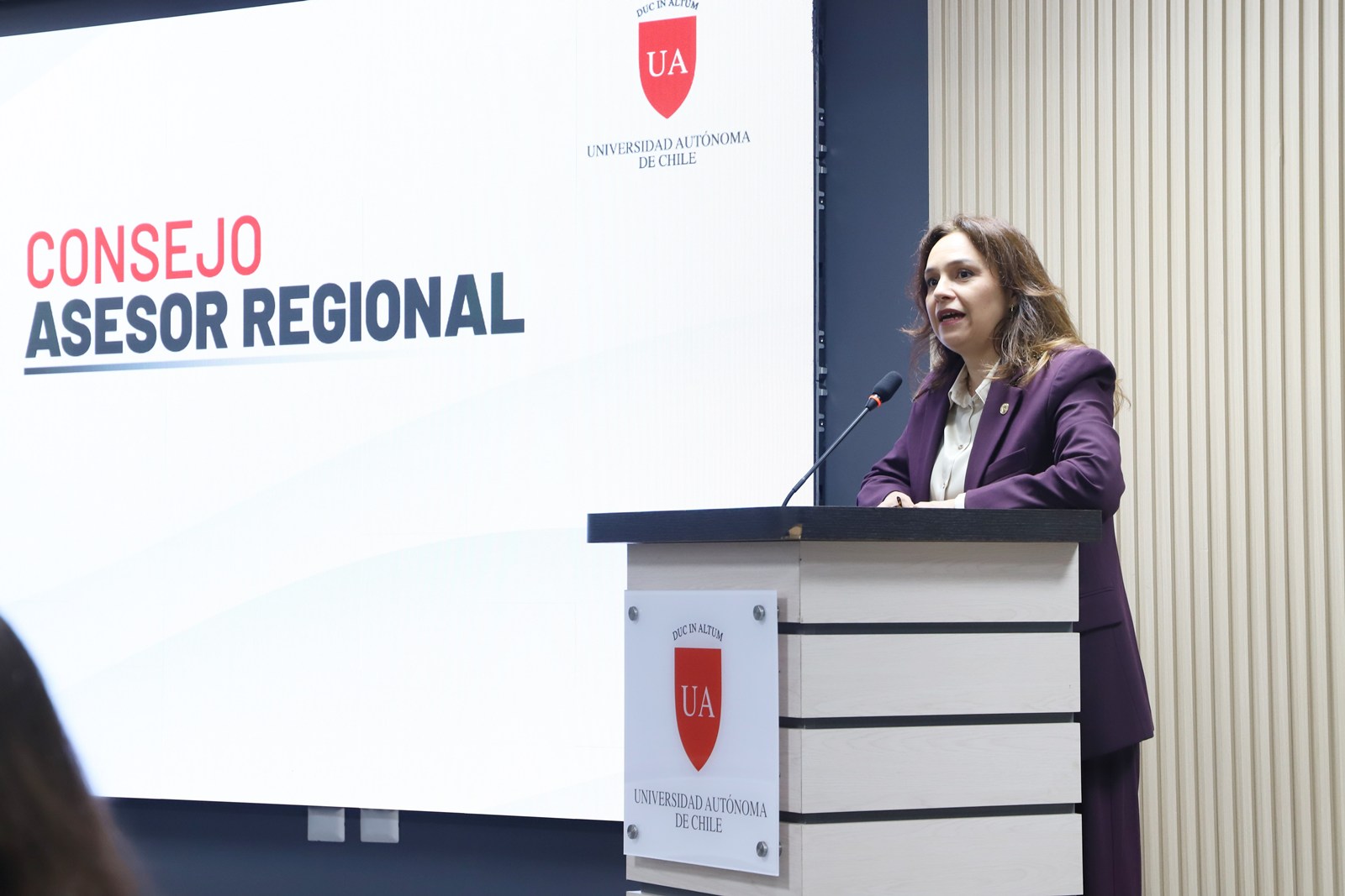 FOTO consejo asesor regional 4