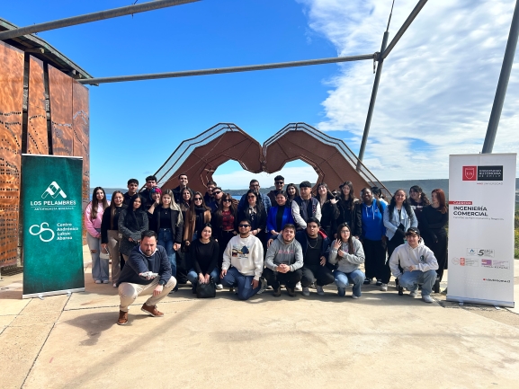 Ing Comercial minera Pelambres 1
