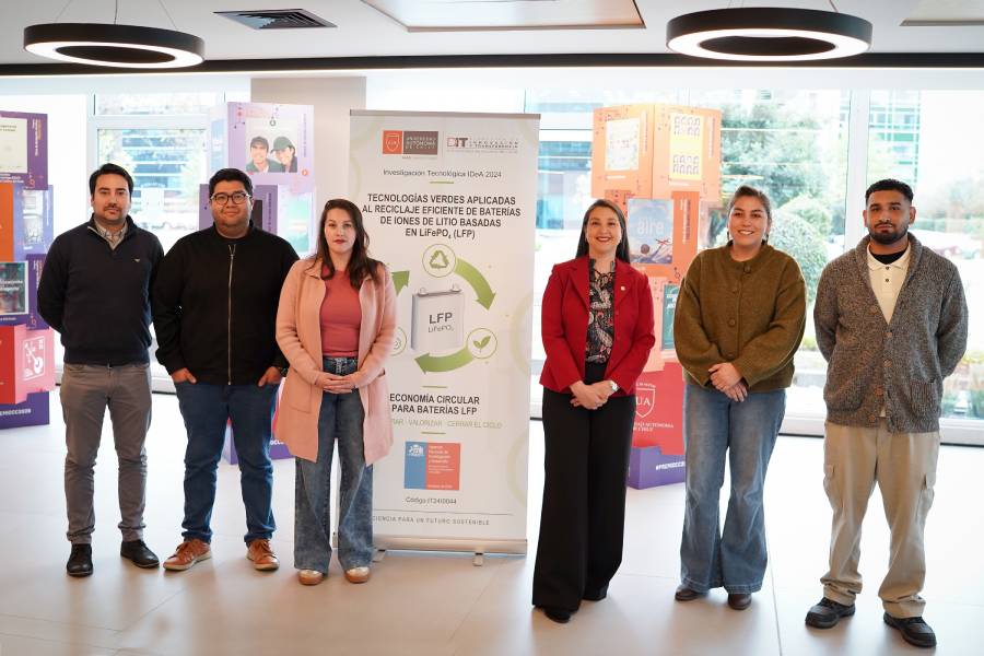 Maria Luisa Valenzuela fondef equipo baja